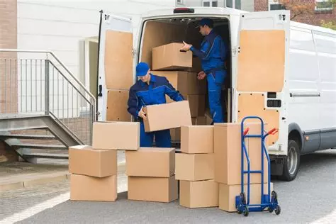 Déménageurs en action